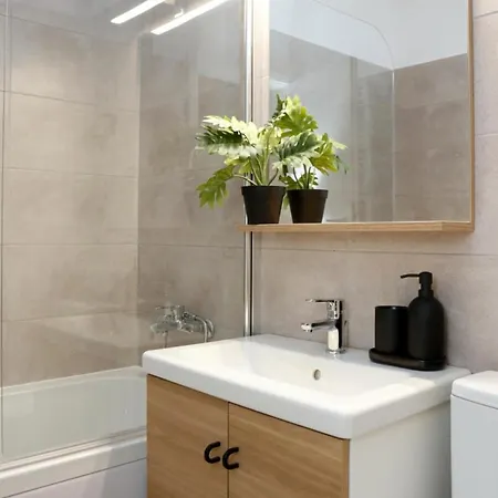 Weiner Palada * Bukurešť