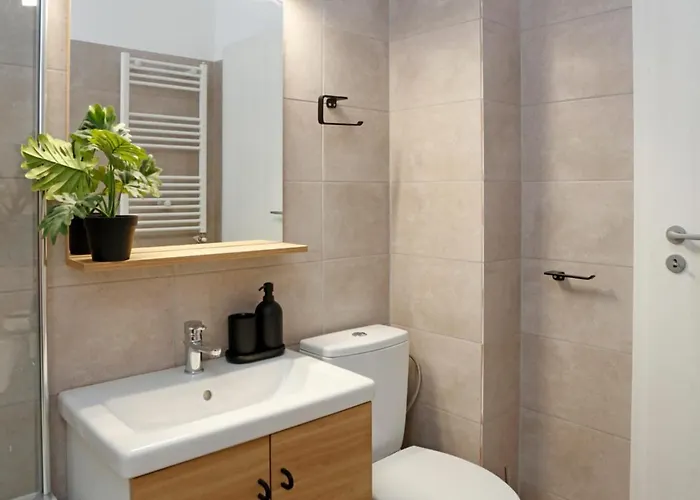 Weiner Palada * Бухарест