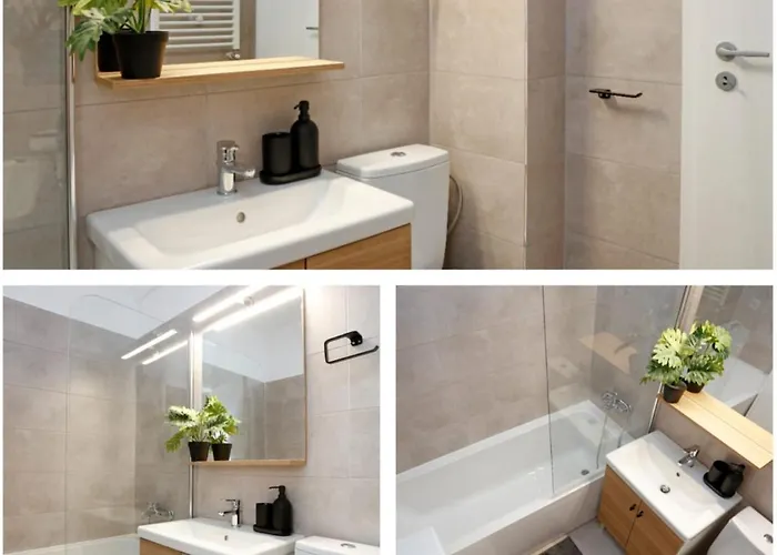 Weiner Palada * Bukurešť